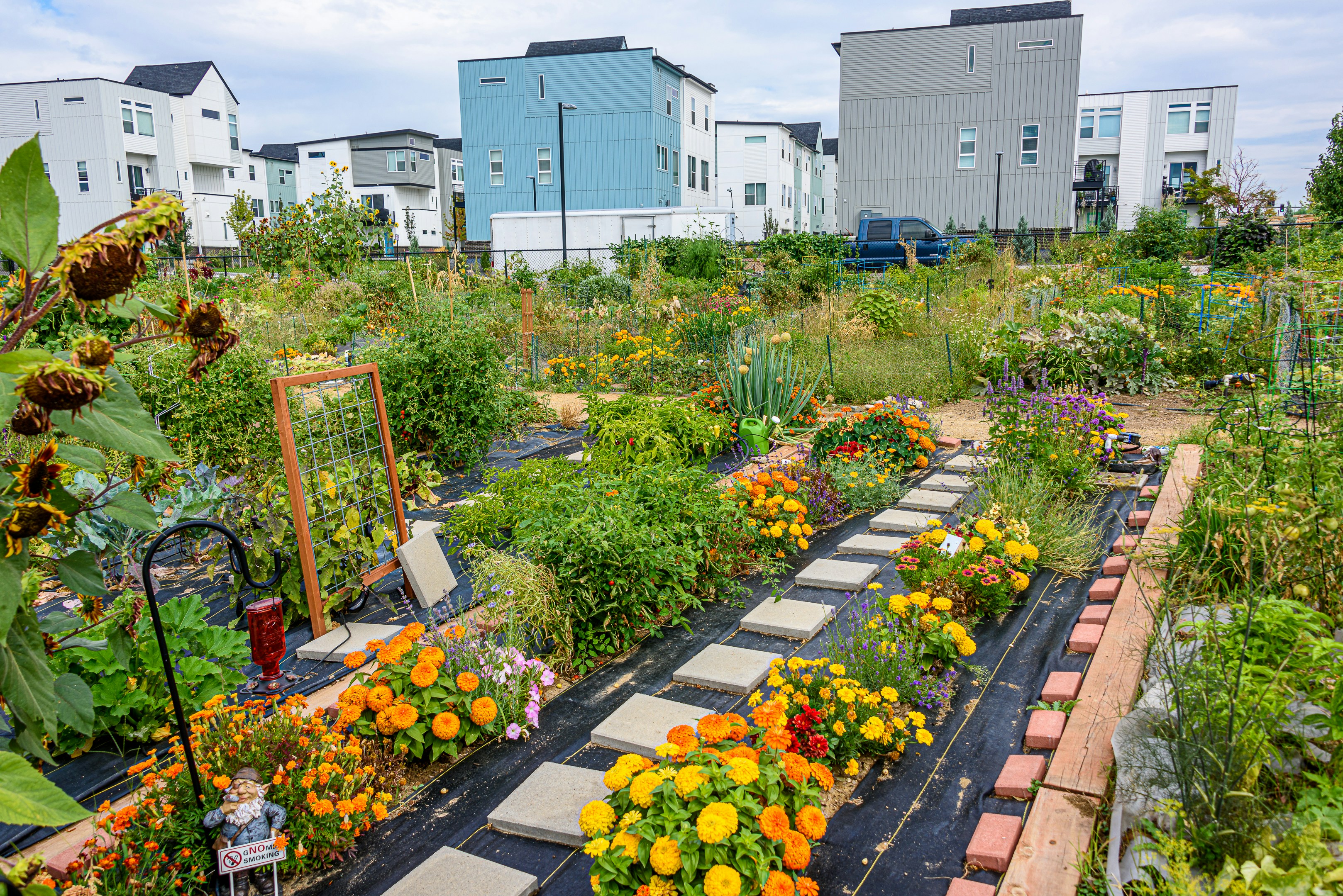 Are local authorities asking for the wrong kind of social value in procurement?