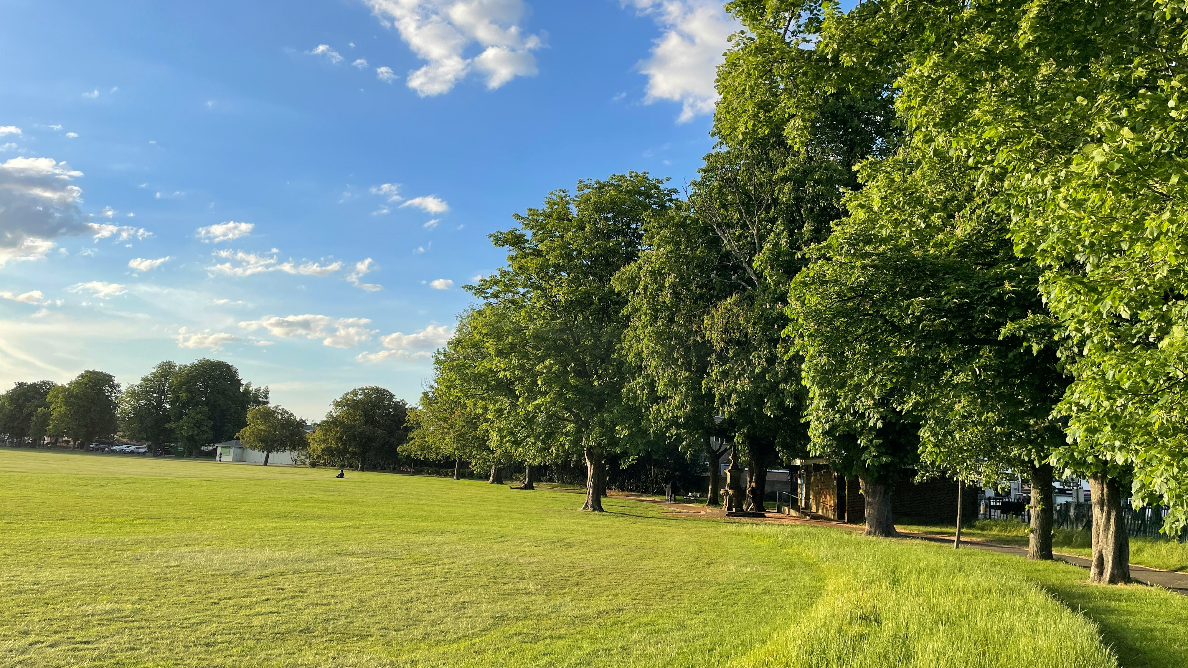 Have We Forgotten What Parks are for?