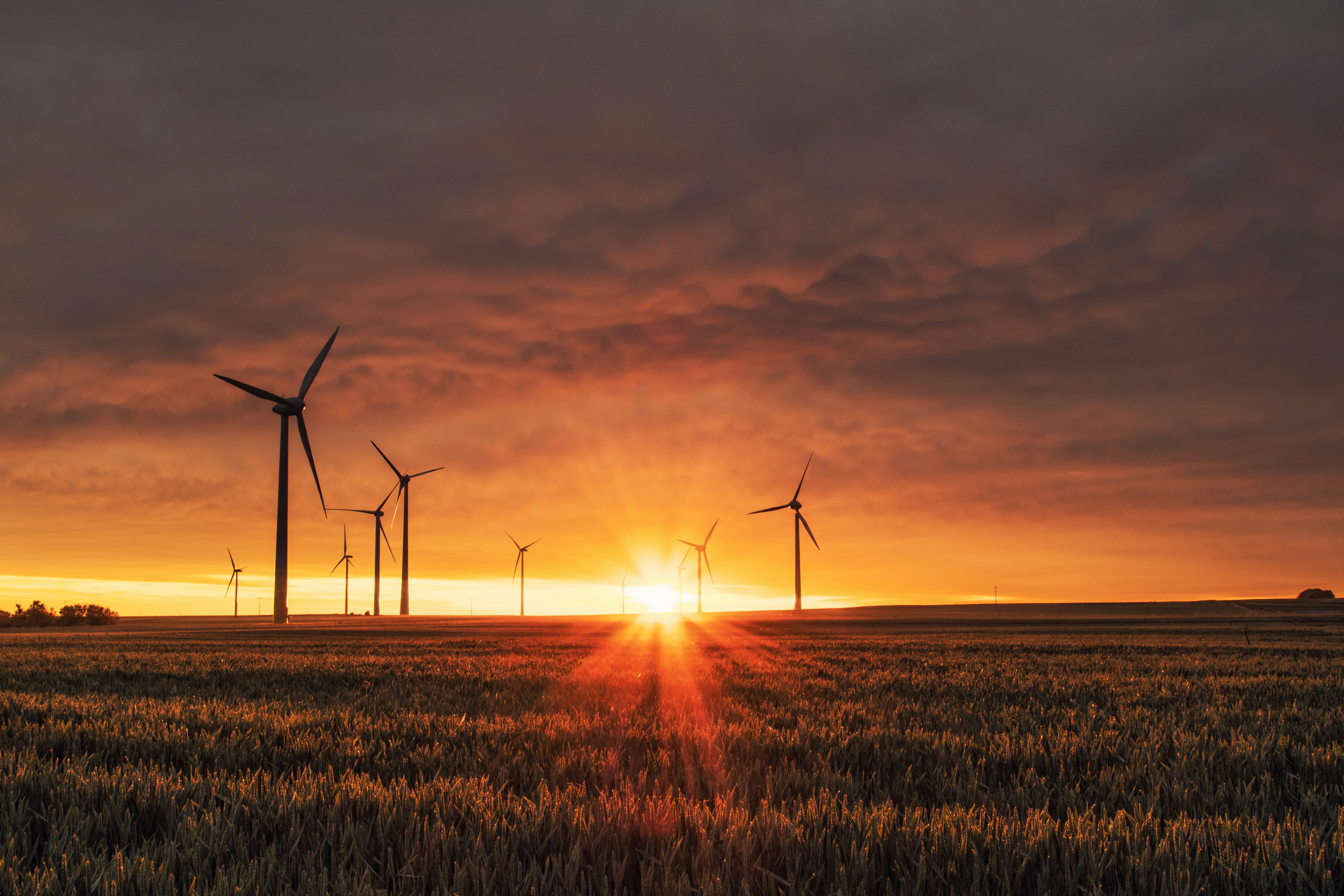 The Hidden Social Value of Energy