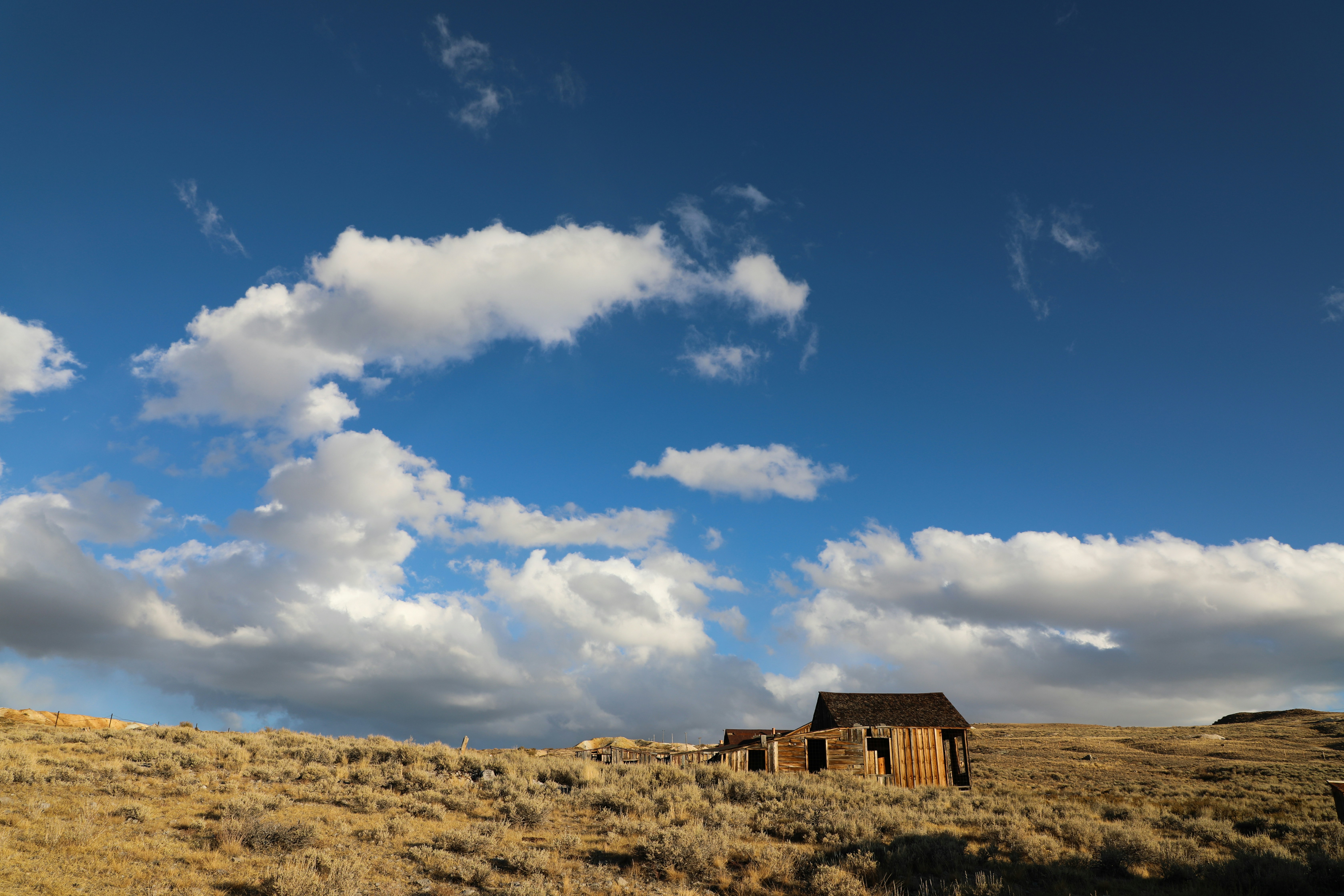 The Social Value Rush: Are You Getting Fool's Gold or Real Expertise?